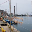 삼척항 해오름 민박 이미지