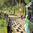 운곡 | 고창 아이들과 방문하기 좋은 곳 운곡 람사르 습지 방문 후기