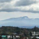 제주시농업협동조합 한라산주유소 | 1월 말 겨울 제주여행 2일차 (보기만한 한라산, 버터앤기글스, 지름집, 대방어회, 디아넥스호텔)