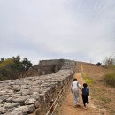 파사성 소나무 티스토리