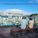 부경해물찜 이미지