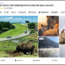 꽃가마화장품 | 후쿠오카 아프리칸사파리 버스투어 인생경험 후기 공유