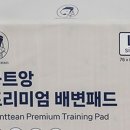 몽트앙