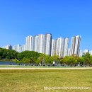 호수공원1길(중로1-8) | 🐻6세 7세 남자아이와 낮에 다녀온 동탄호수공원 🌿 (+ 루나쇼 시간 정보)