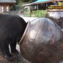 이장원농장 이미지