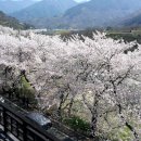 모암마을 이미지