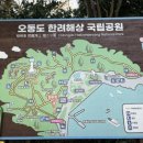 오동도기념품