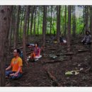 편백나무아래 이미지