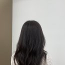 야탑 미용실, 미봉헤어에서 푸석한 머릿결 데미 클리닉으로 되살린 후기
