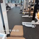 오가닉피티 회천점 | 덕계역 오가닉피티 PT 30회 대만족 후기