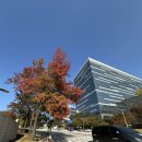 서초대로48길 34 이미지