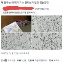 오천원 걸레의 탄생 스토리를 알게되다..twt 이미지