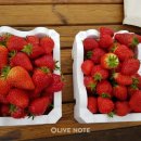 아이와농장 이미지