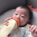 사용후기::리틀밥독 젖병, 대용량 젖병 사용 후기