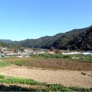 본1리 이미지