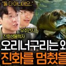 아가미 이미지