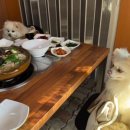 소미애견 농장 이미지