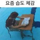성산스튜디오