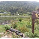 궁류면사무소 이미지