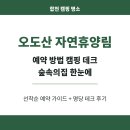 송정리 1134-5,1134-6 | 오도산 자연휴양림 예약 방법 캠핑 데크 숲속의집