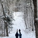 노년기 건강 관리와 식생활 방식에 대한 고찰 이미지