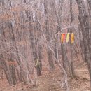 수원-1111 이미지