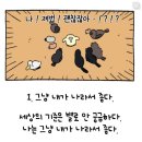 다시 쓰기 시작한 5월달의 기록...어떻게 살았냐면5편