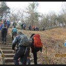 부산 금정산성 둘레길 종주(울산,부산, 창원지부 합동산행) 이미지