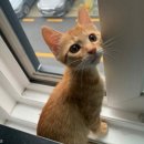 꿈나라 이미지