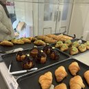 헤일로92 이미지