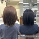 청담동 미용실 샴푸 비오른헤어 청담점 한나 수석 실장 전체염색 칼라 톤다운
