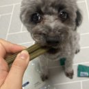 씨유덴탈 이미지