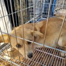 마산가축병원 이미지