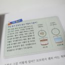 은이네전집