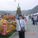 횡성 이미지