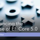 EF Core 5.0(Entity Framework Core 5.0) 릴리즈! 이미지