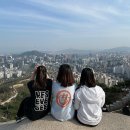 나인워시 동탄점 | 서울 3인 호텔 나인트리 프리미어 호텔 인사동 | 스탠다드 트리플 룸 후기
