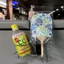 양재느티나무쉼터 | [20230707] 소서