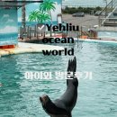 스쿠버월드 | Taiwan Yehliu Ocean world 예류오션월드 세돌 아이와 방문후기