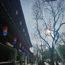 전주 한옥마을 맛집 &#39;전주는 전주&#39; 파전에 막걸리 한 잔하고 가세요