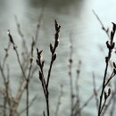 아지랑이 이미지