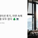 자연속에서-산 | 강원도 워케이션 후기, 자연 속에서 일과 쉼을 모두 잡다 🌲💻
