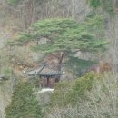 선동보건진료소 티스토리