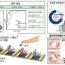한국진단기술원 이미지