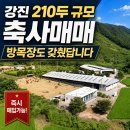 전남 축사매매 210두 규모에 방목장도 갖췄답니다~(매물번호 3053) 이미지