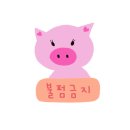 피어싱홀릭 이미지