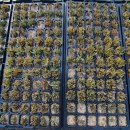 귀동농장 이미지