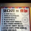 금강코다리 이미지