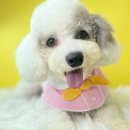 산호동457 이미지