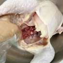 복닭 이미지